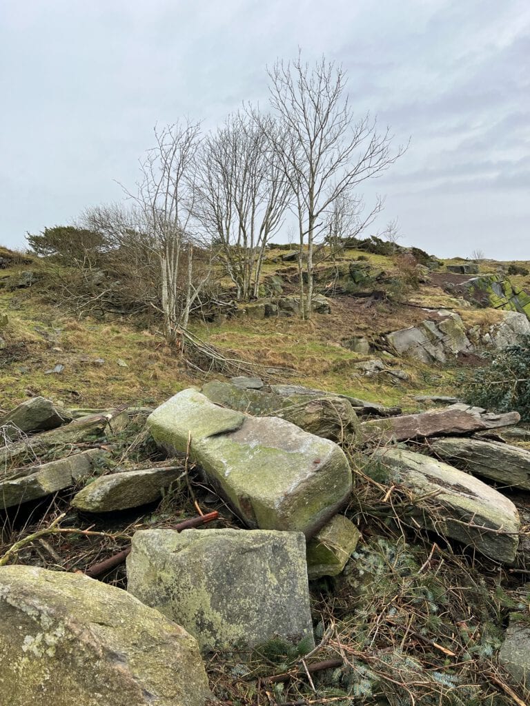 Fjøløy fort