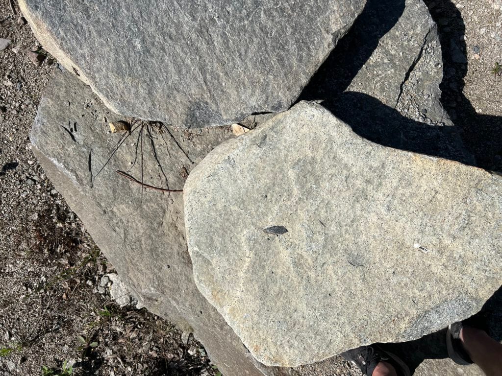 Tursti, Haglebuvannet