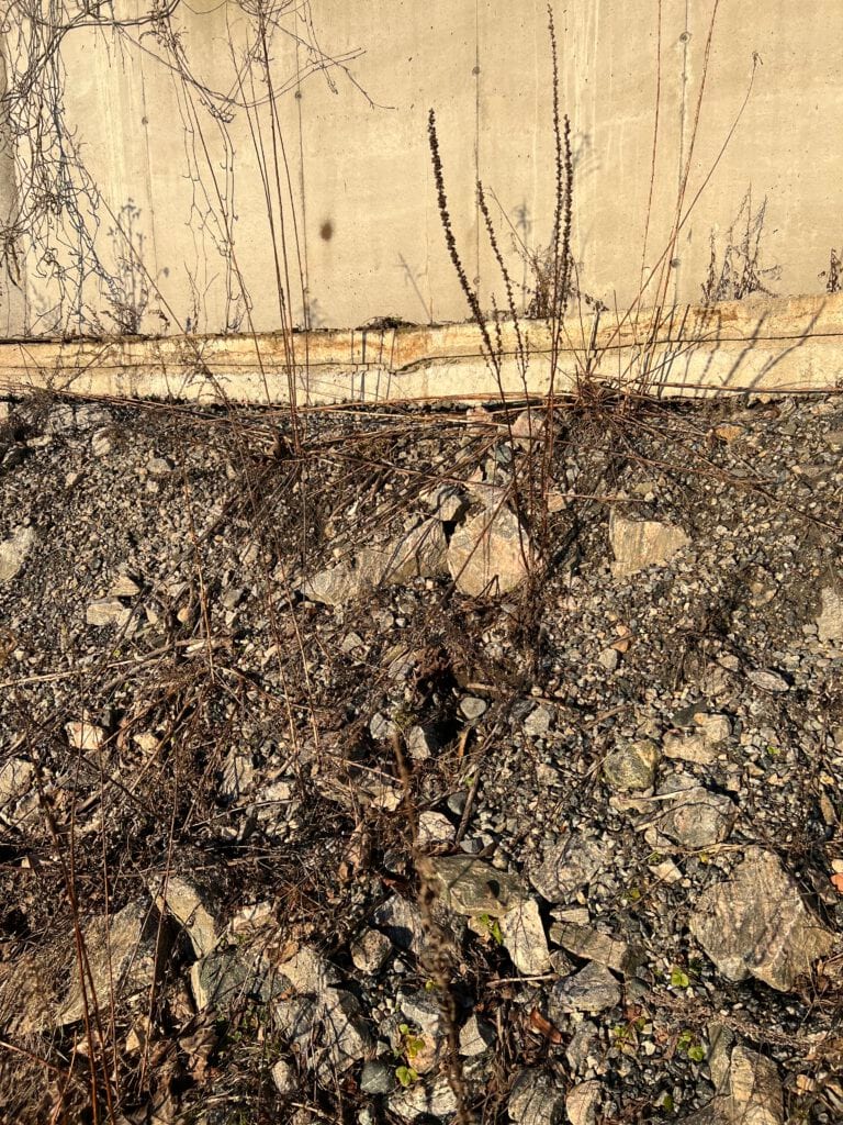 Moss Cellulosefabrikk